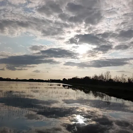 Typisch Lelies Bed & Breakfast