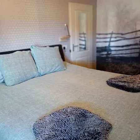 B&B Typisch Lelies *