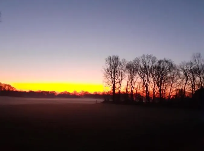 Typisch Lelies 4* Liessel