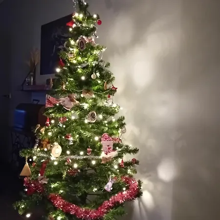 Typisch Lelies Bed and breakfast