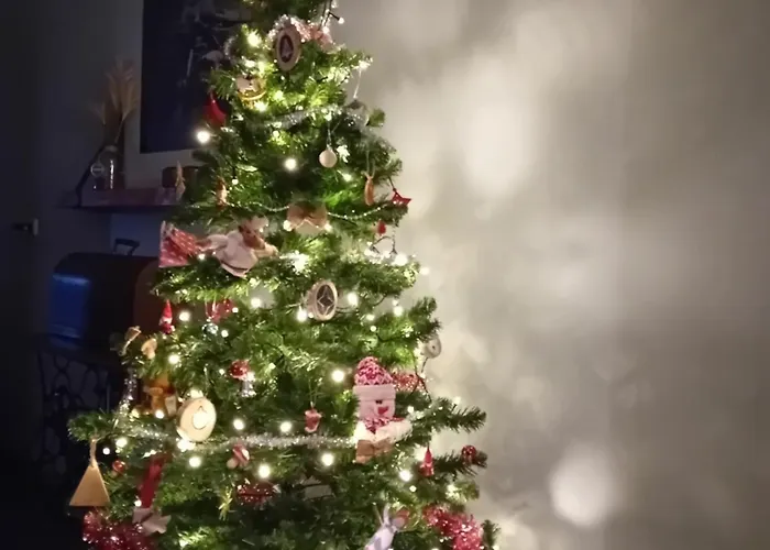 Typisch Lelies Bed and breakfast