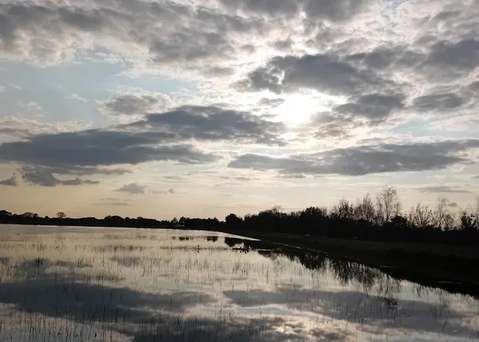 Typisch Lelies Bed and breakfast